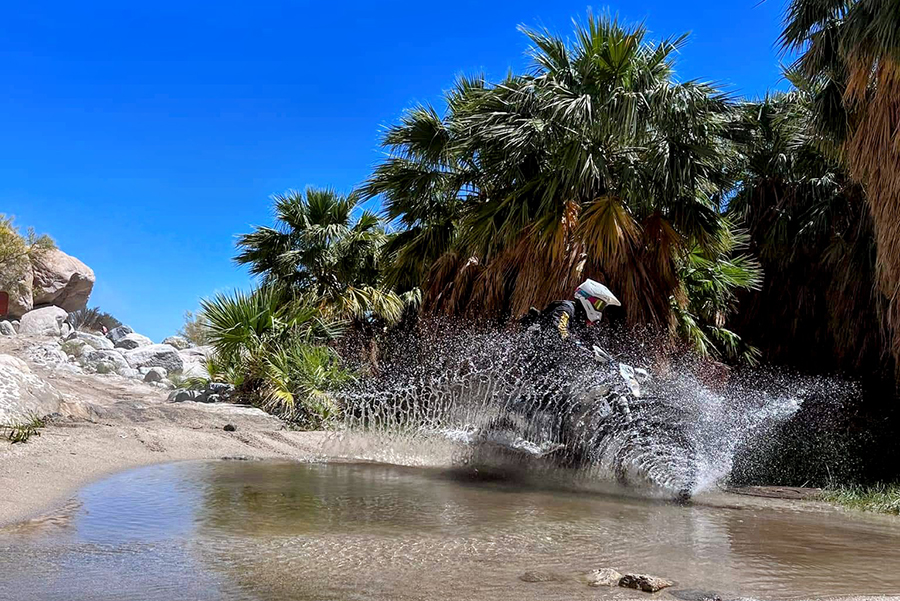 River Paradise in Baja